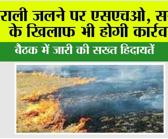 Haryana News: