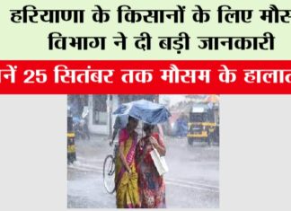 Haryana Weather