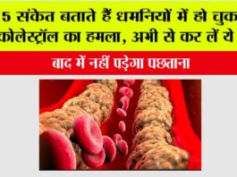 High Cholesterol Signs: 5 संकेत बताते हैं धमनियों में हो चुका है कोलेस्ट्रॉल का हमला, अभी से कर लें ये काम, नहीं तो पछताना पड़ेगा High Cholesterol Signs