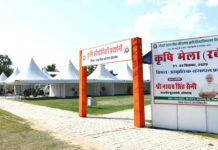 Hisar News
