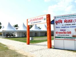 Hisar News