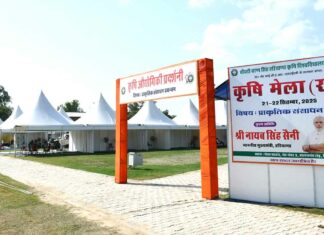 Hisar News