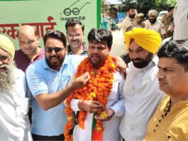 Jakhal News