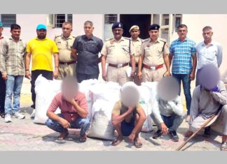 Kaithal News
