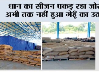 Kaithal News