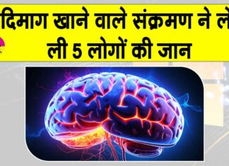 Brain eating amoeba: दिमाग खाने वाले अमीबा ने ली महिला की जान, मृतकों की संख्या पहुंची 5 Kerala News
