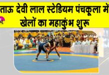 Panchkula News