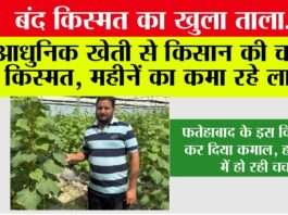 Kisan News