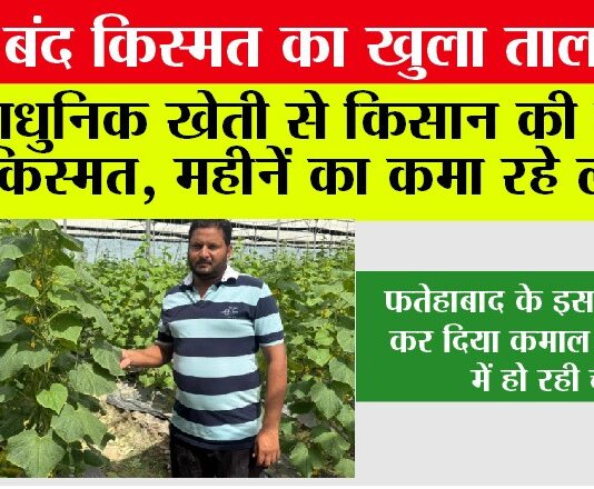 Kisan News