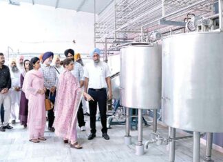 Ludhiana News