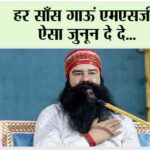 MSG
