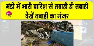 Mandi News