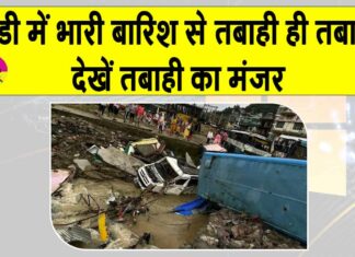 Mandi: मूसलधार बारिश से मंडी में तबाही का मंजर, बहुत सी गाड़ियां पानी में बही Mandi News