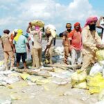Moga News