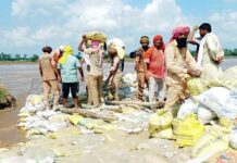 Moga News