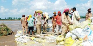 Moga News