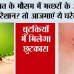 Mosquito Home Remedies