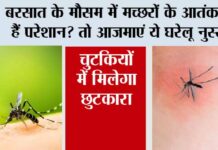 Mosquito Home Remedies