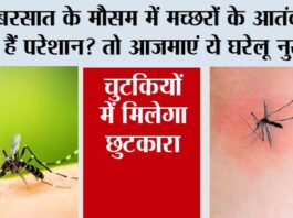 Mosquito Home Remedies