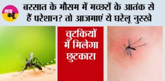 Mosquito Home Remedies
