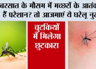 Mosquito Home Remedies
