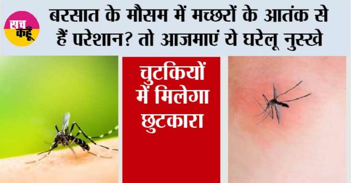 Mosquito-Home-Remedies Mosquito Home Remedies