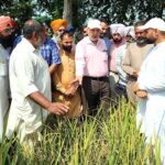 Nabha News