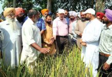 Nabha News