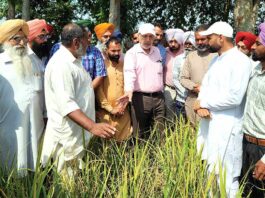 Nabha News