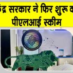PLI scheme