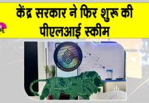PLI scheme