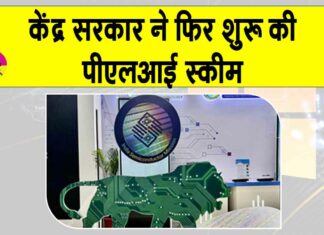 PLI scheme