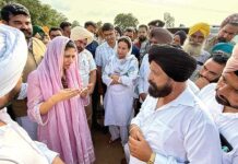 Patiala News
