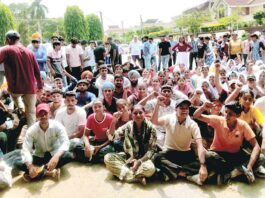 Patiala News