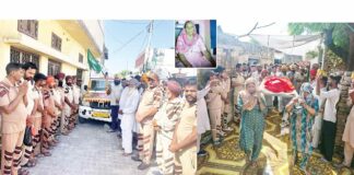 Patran News