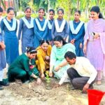 Pehowa News
