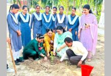 Pehowa News