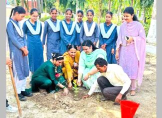 विश्व पर्यावरण स्वास्थ्य दिवस पर पौधारोपण कर दिया पर्यावरण संरक्षण का संदेश Pehowa News