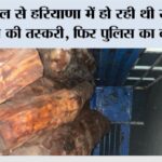 Pratap Nagar News
