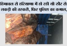 Pratap Nagar News