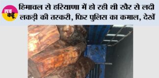 Pratap Nagar News