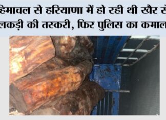 Pratap Nagar News