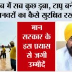 Punjab Flood