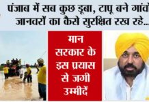 Punjab Flood