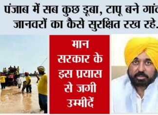 Punjab Flood