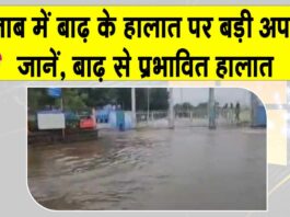 Punjab flood News