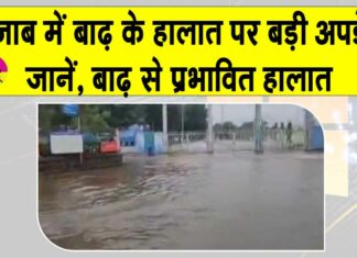 Punjab flood latest Update: पंजाब में बाढ़ के बाद के हालात हुए अपडेट, देखें पंजाब सीमा पर बाढ़ का असर Punjab flood News