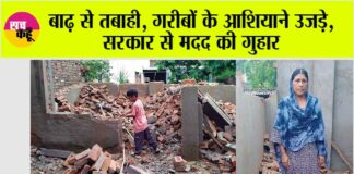 Punjab Flood News