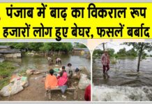 Punjab News
