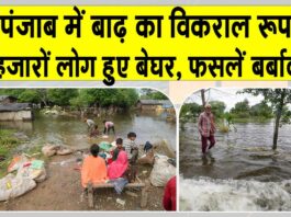 Punjab News